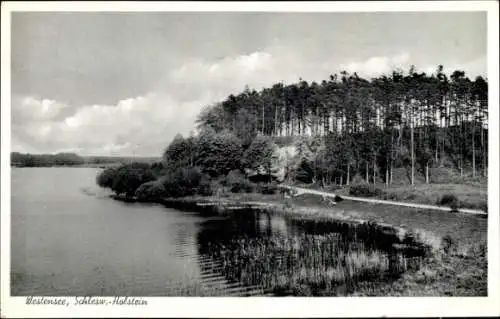 Ak Westensee b. Kiel, Partie am See