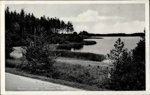 Ak Nortorf in Schleswig Holstein, Blick auf den Borgdorfer See, Straßenpartie