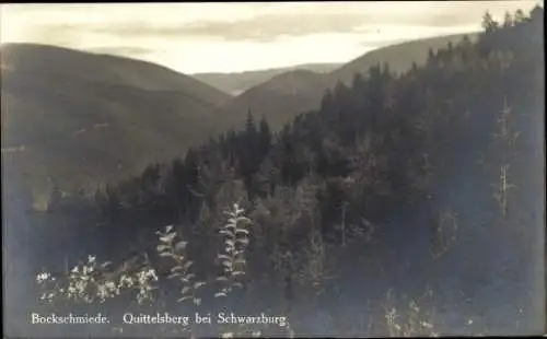 Ak Bockschmiede Döschnitz an der Schwarza, Quittelsberg, Wald