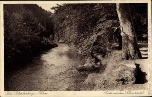 Ak Bad Blankenburg in Thüringen, Schwarzatal