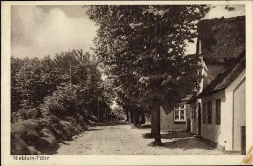 Ak Nieblum auf der Insel Föhr Nordfriesland, Teilansicht