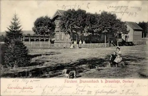 Ak Braunlage im Oberharz, Försterei Brunnenbach, Dackel