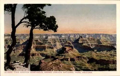 Ak Grand Canyon Arizona USA, Zwei Canyon-Wächter