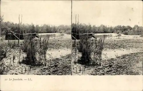 Stereo Ak Jordanien, Partie am Jordan, Wasserpflanzen, Vegetation