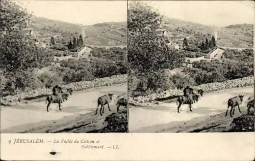 Stereo Ak Jerusalem Israel, das Kidron-Tal und Gethsemani