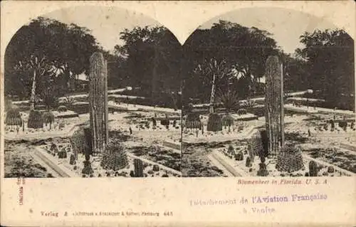 Stereo Ak Florida USA, Blumenbeet