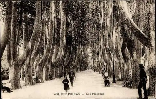 6 alte Ansichtskarten Perpignan Pyrénées Orientales, Diverse Ansichten