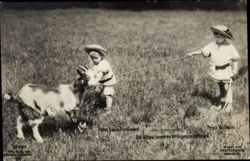 Ak Prinz Louis Ferdinand und Prinz Wilhelm von Preußen, Ziege, Photochemie 2217