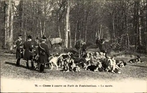 Ak Wald von Fontainebleau Seine et Marne, Jagd, das Rudel