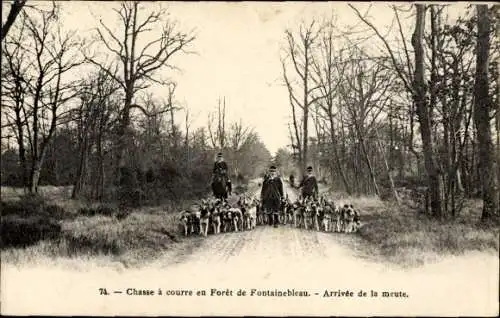 Ak-Jagd im Wald von Fontainebleau, Ankunft des Rudels