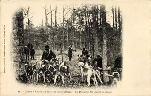 AK-Jagd im Wald von Fontainebleau, das Jagdhundpaar
