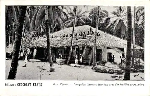 Ak Ceylon Sri Lanka, Bungalow mit Palmenblättern