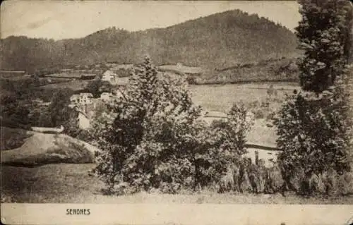 Ak Senones Sens Lothringen Vosges, Panorama