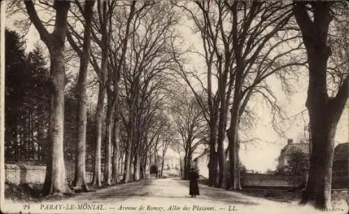 Ak Paray le Monial Saône et Loire, Allee des Platanes