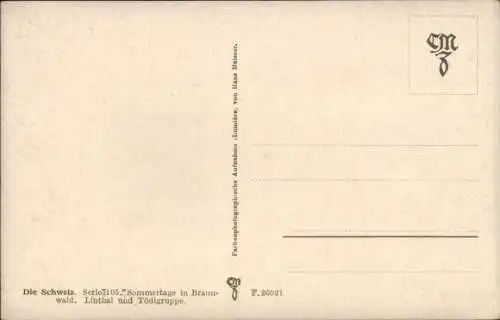 Ak Linthal Glarus Kanton Glarus Schweiz, Panorama, Tödigruppe