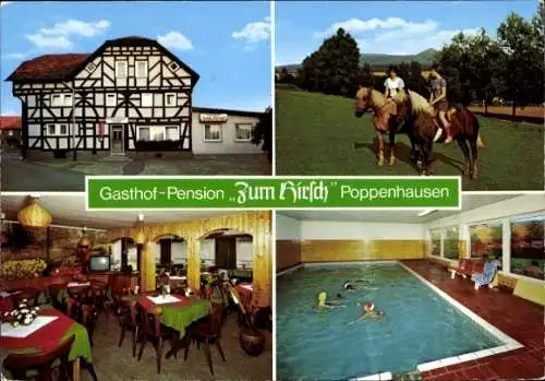 Ak Poppenhausen an der Wasserkuppe Rhön, Gasthof-Pension, Schwimmbad, Fachwerk, Gastraum, Pferde