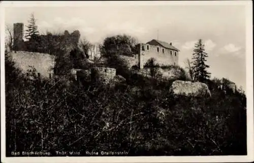 Ak Blankenburg Thüringen, Blick auf Ruine Greifenstein