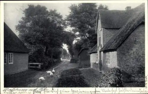 Ak Föhr in Nordfriesland, Dorfstraße