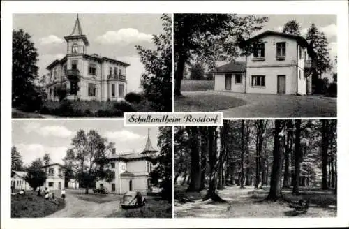 Ak Rosdorf in Schleswig Holstein, Das Schullandheim mit Waldpartie