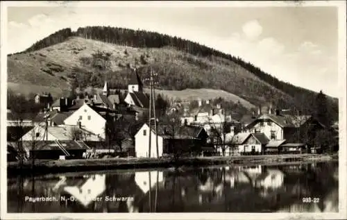 Ak Payerbach an der Rax in Niederösterreich, An der Schwarza