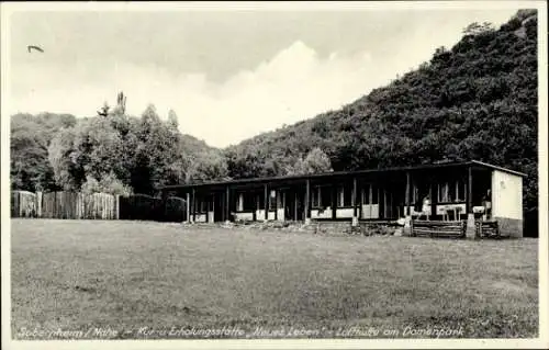 Ak Bad Sobernheim an der Nahe, Kur- und Erholungsstätte Neues Leben, Lufthütte am Damenpark