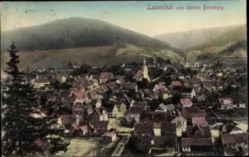 Ak Lautenthal Langelsheim im Oberharz, Gesamtansicht, Blick vom kleinen Bromberg