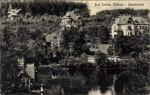 Ak Wieda Walkenried im Harz, Teilansicht, Schmelzteich