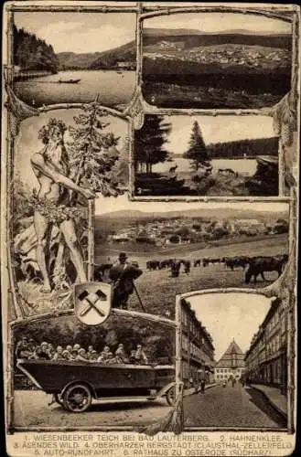 Ak Osterode in Niedersachsen, Wiesenbeeker Teich bei Bad Lauterberg, Autorundfahrt, Rathaus, Kühe