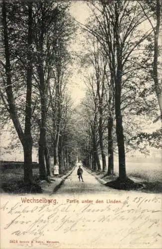 Ak Wechselburg in Sachsen, Partie unter den Linden