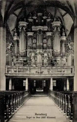 Ak Merseburg an der Saale, Orgel im Dom