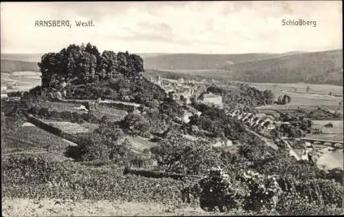 Ak Arnsberg im Sauerland Westfalen, Schlossberg