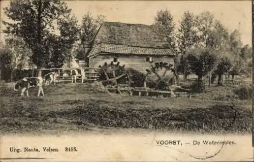 Ak Voorst Gelderland Niederlande, Wassermühle, Kühe, Bauernhof