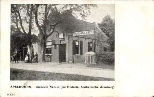 Ak Apeldoorn-Gelderland, Naturhistorisches Museum, Arnhemsche Straatweg