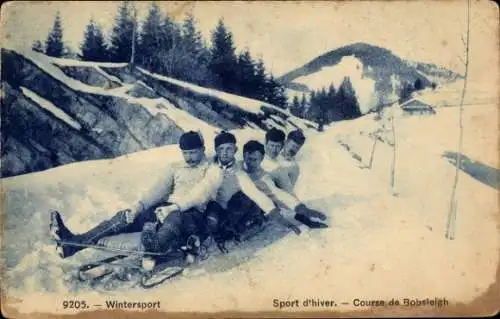 Ak Wintersport, Schlittenfahrt, Schnee