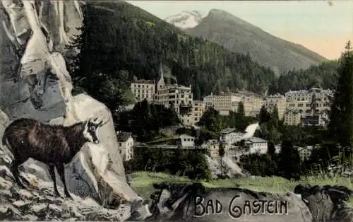 Ak Bad Gastein Badgastein in Salzburg, Teilansicht, Gams