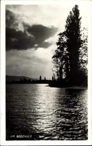 Ak Bregenz am Bodensee Vorarlberg, Am Bodensee