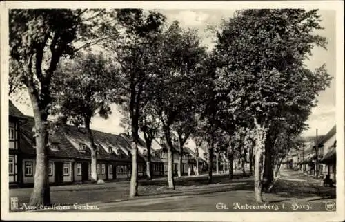 Ak Sankt Andreasberg Braunlage im Oberharz, Schützenstraße, Allee