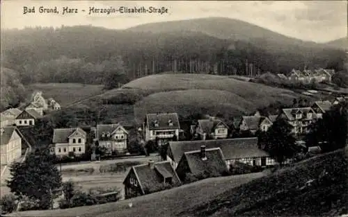 Ak Bad Grund im Harz, Herzogin-Elisabeth-Straße