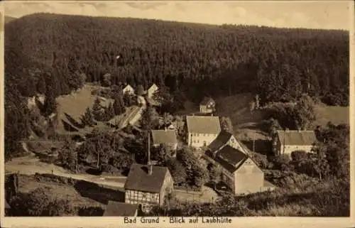 Ak Bad Grund im Harz, Laubhütte, Fachwerkhaus