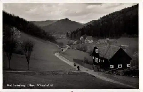 Ak Bad Lauterberg im Harz, Partie im Wiesenbektal