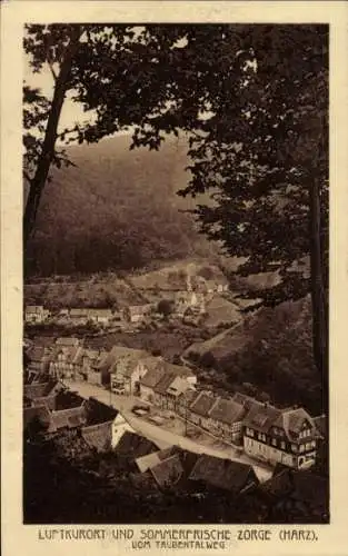 Ak Zorge Walkenried im Harz, Blick vom Taubentalweg