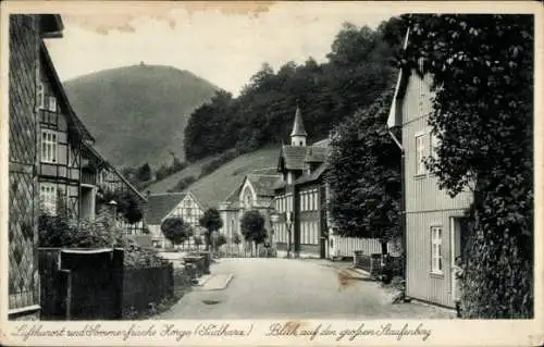 Ak Zorge Walkenried im Harz, großer Staufenberg, Fachwerkhäuser