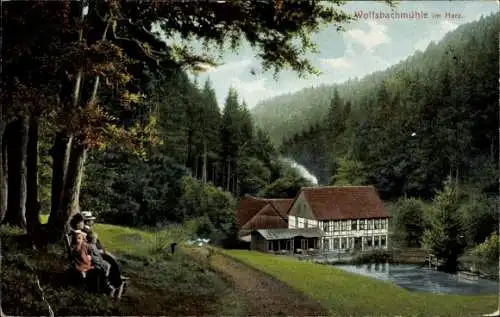Ak Braunlage im Oberharz, Wolfsbachmühle