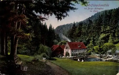 Ak Braunlage im Oberharz, Wolfsbachmühle