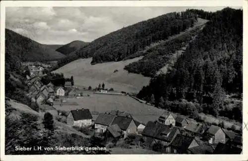 Ak Sieber Herzberg am Harz, Blick vom Sieberblick, Panorama