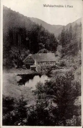 Ak Braunlage im Oberharz, Wolfsbachmühle