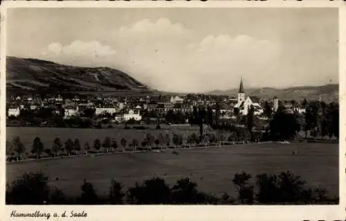 Ak Hammelburg in Unterfranken Bayern, Panorama