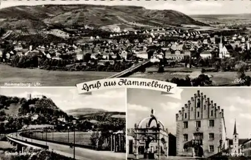 Ak Hammelburg in Unterfranken Bayern, Schloss Saaleck, Marktplatz, Panorama