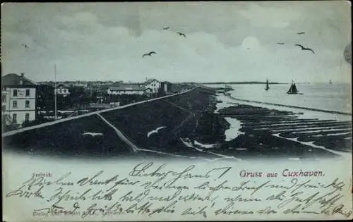 Mondschein Ak  Nordseebad Cuxhaven, Seedeich