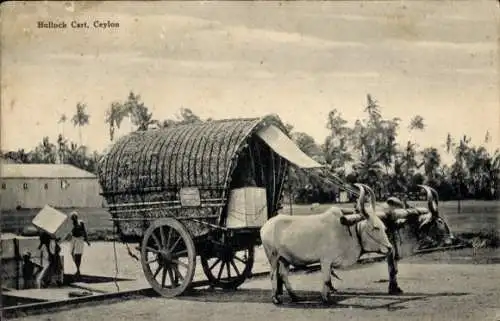 Ak Ceylon Sri Lanka, Bullock-Cart